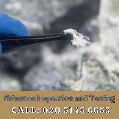 Comprehensive Asbestos Inspection and Testing Services in Shortlands